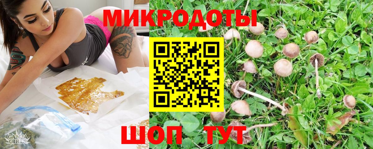 Псилоцибиновые грибы мухоморы  Галлюциногенные грибы мухоморы  Рузаевка  наркота  Вход с VPN 